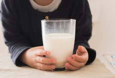 Panduan Memilih Susu UHT untuk Anak 1 Tahun