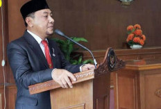 Pemkab Tanjabtim akan Bentuk OPD Baru, Pecahan Dari Bakeuda 