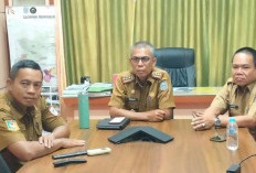 Cabai dan Beras Jadi Penyumbang Utama, IPH Merangin Minggu Keempat Juli Naik 1,52 Persen