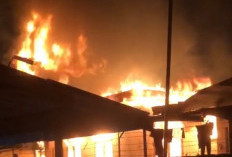 Ditinggal Pergi, Satu Rumah di Kelurahan Tanjung Pinang Kota Jambi Hangus Terbakar