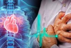 Penelitian : Pasien Gagal Ginjal Memiliki Risiko Lebih Tinggi Terkena Serangan Jantung dan Stroke