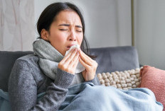 Flu, atau influenza, merupakan infeksi virus yang menyerang saluran pernapasan.
