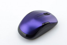 Manfaat Menggunakan Mouse Dibanding Touchpad