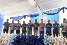 FIFGROUP Gelar Hajatan Cabang Jambi 2025, Ada Promo, Lomba Sampai Santunan Panti Asuhan