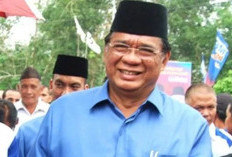 Mantan Wakil Ketua DPRD Provinsi Jambi Cik Bur Digugat Perbuatan Melawan Hukum oleh Partainya Sendiri 