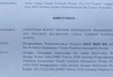 Bupati Bungo Pecat Rio Dusun Pedukun, Terkait Dugaan Penyelewengan Dana Desa