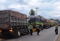 10 Angkutan Batubara Ditindak Polres Sarolangun