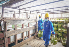 Belum Ada Pembatasan Penjualan LPG 3 Kg