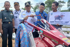 Pemkot Jambi Dukung Ketahanan Pangan Lewat Penanaman Cabai dan Bantuan Alsintan Rp 3,8 Miliar