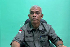 Hasil Panen Padi Meningkat Signifikan