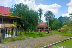 Pemprov Jambi Genjot PAD di Sektor Pariwisata