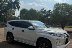 Masih Diburu! Kasi Humas Polreta Jambi Tepis Isu Pembunuh di Talang Bakung Tertangkap