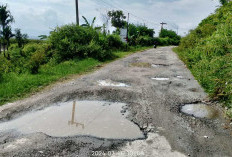 Jalan Koto Petai Rusak Parah, PUPR Sebut Tak Ada Anggaran Tahun ini 