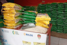 Stok Aman hingga Akhir Tahun, Bulog Jambi Pastikan Penyaluran Beras SPHP Diawasi Ketat