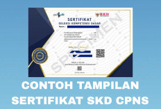 Panduan Lengkap Sertifikat SKD CPNS 2024: Pengertian, Tampilan, Sampai Cara Download