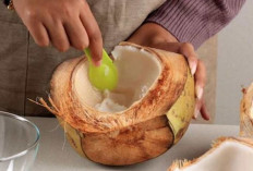6 Manfaat Daging Kelapa yang Luar Biasa bagi Kesehatan