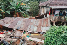 Damkartan Identifikasi Penyebab Rumah Roboh di Tepi Sungai Batanghari Jambi