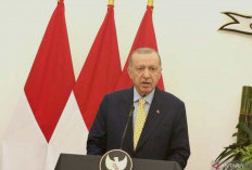 Erdogan: Bantu Akhiri Tragedi Kemanusiaan di Gaza