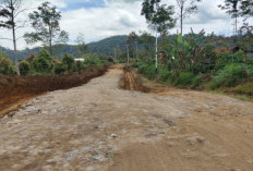 Masyarakat Kerinci Dapat Berkah di Tahun Politik 