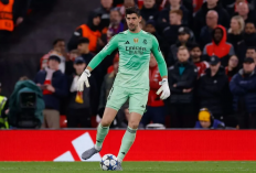Courtois Alami Cedera Paha 
