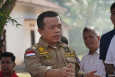 Pemprov Jambi Harus Jemput Bola ke Pusat, Al Haris Tanggapi Penurunan APBD 2026