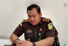 Usut Pengadaan Sapi Rp1 Miliar, Di Dinas Perkebunan dan Peternakan Muaro Jambi
