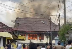 Gedung UPTD BPTPH Jambi Terbakar, Petugas Damkar Kerahkan 12 Armada