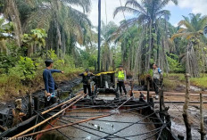 Harus Perhatikan Aspek Lingkungan 