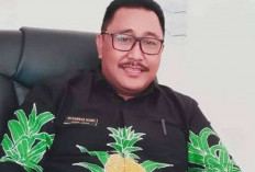 Dinas Tanaman Pangan Siapkan 28.000 Bibit, Program Prowitra  Tahap Awal