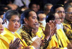 Jokowi: Posisi Airlangga di Kabinet Tidak Ada Masalah