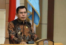Penyidik Minta Ahmadi Zubir Hadir Untuk Pemeriksaan Sebagai Saksi Kasus Perusakan TPS 