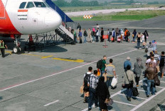 Kemenhub Sebut Penumpang Udara Naik, Dampak Penurunan Harga Tiket Pesawat
