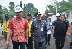 Komisi V DPR RI Nilai Wali Kota Jambi Proaktif dan Visioner Tangani Banjir