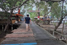 Kampung Laut Pengembangan Wisata Budaya dan Kawasan Pesisir