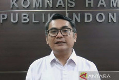 Komnas HAM kecam aksi KKB, Tim Pencarian Iptu Tomi Marbun
