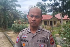 Pria Pengendara Sepeda Motor Tewas Terlindas Tronton 