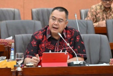 Konflik Lahan SAD Perlu Solusi Lintas Kementerian