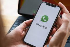 WhatsApp Meluncurkan Fitur Kategori Saluran, Cara Manjakan Konsumen