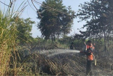 BPBD Muaro Jambi Usulkan Helikopter Water Bombing Untuk Atasi Karhutla