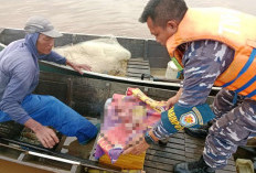 BREAKING NEWS! Penemuan Jasad Bayi di Sungai Kelurahan Simpang Tanjab Timur Hebohkan Warga