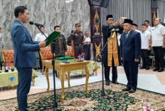 Bupati M Fadhil Lantik P Rambe sebagai Pj Sekda Batanghari Gantikan M Azan 