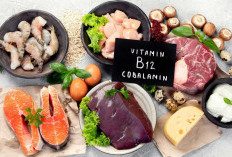 7 Makanan Tinggi Vitamin B12, Baik untuk Kesehatan Tubuh