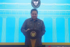 Prabowo Tugasi Danantara Kaji Investasi Lotte Chemical 