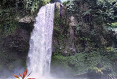 Pelangi Abadi dari Air Terjun Sigerincing di Hulu Gunung Masurai Merangin 