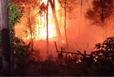 Antisipasi Karhutla,Taman Nasional Bukit Duabelas Libatkan Masyarakat SAD