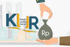 Penyaluran KUR Jambi Januari-Maret 2025 Capai Rp1,61 Triliun: Berikut Rinciannya