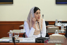 Anggota DPR: Pemerintah Harus Beri Insentif Industri Kreatif Film