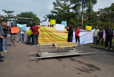 Faried Sebut Bakal Bentuk Pansus 