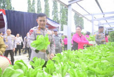 Kapolda Jambi Tabur Ikan dan Panen Pekarangan Pangan Lestari