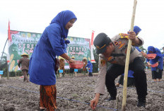 Polres Tanjab Barat Beserta Jajaran Gelar Tanam Jagung Serentak 